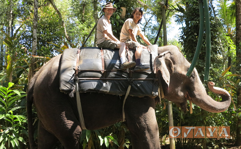 Sukaishi David rides an elephant